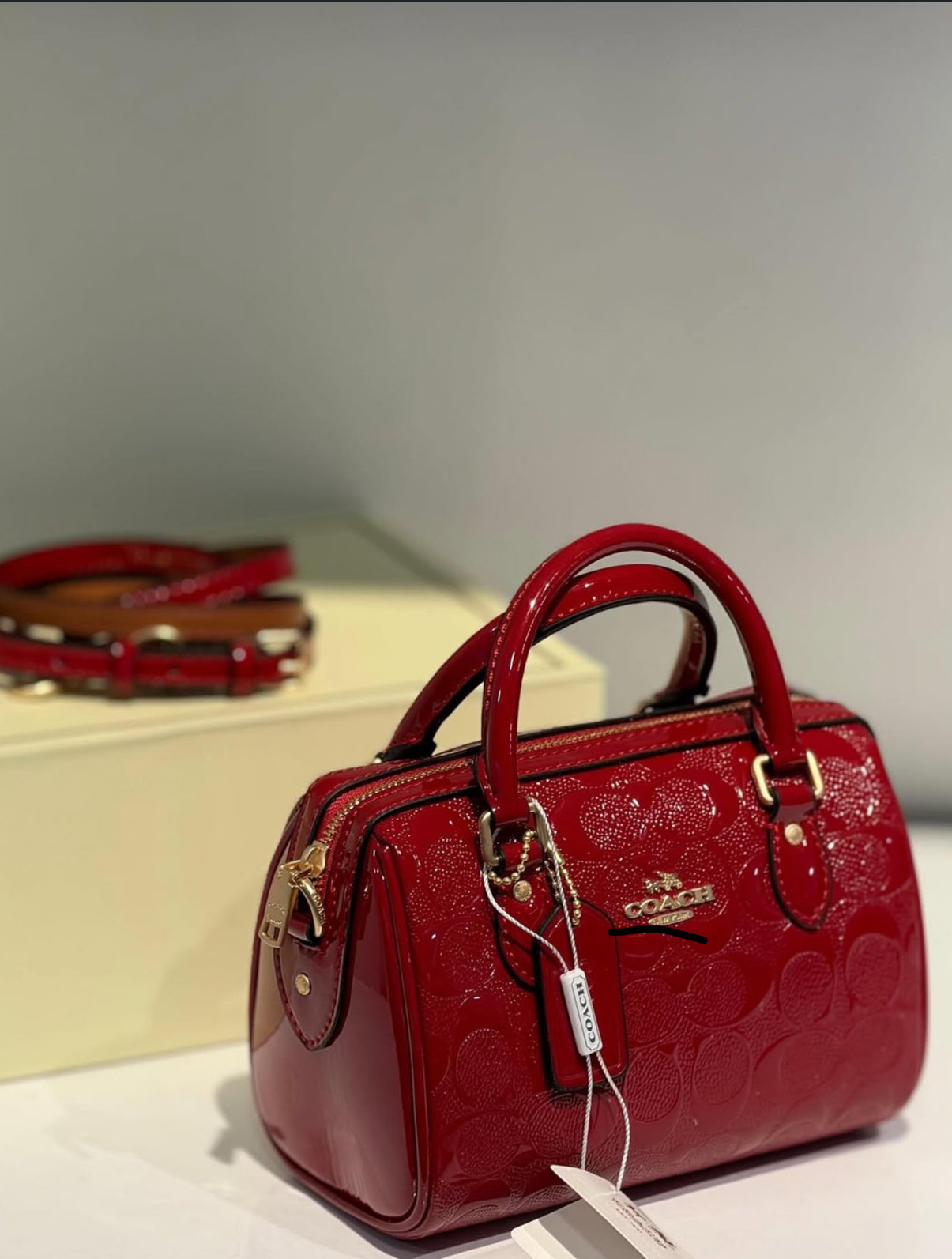 Coach Hand Bag