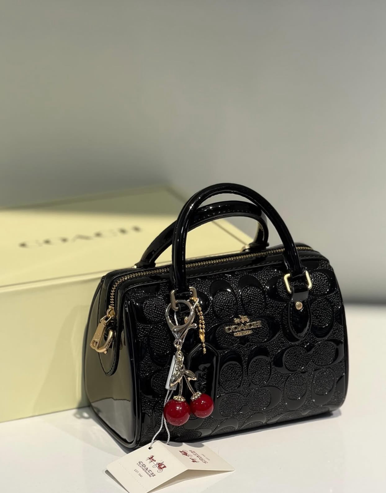 Coach Hand Bag