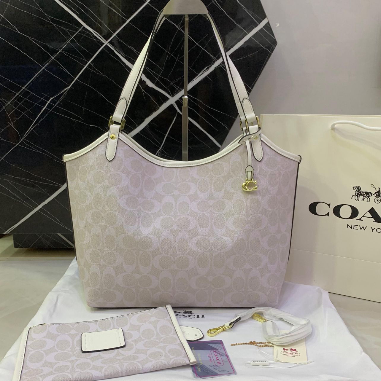 Coach Day Tote Bag