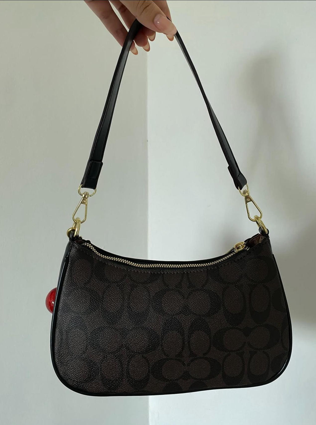 Coach Teri Shoulder Bag